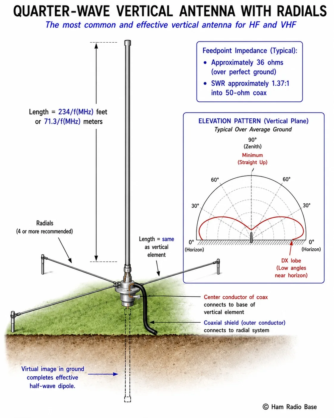 Quarter-wave vertical antenna diagram showing the vertical element, feedpoint at base, radials extending outward from base, and the mirror image principle creating an effective half-wave dipole